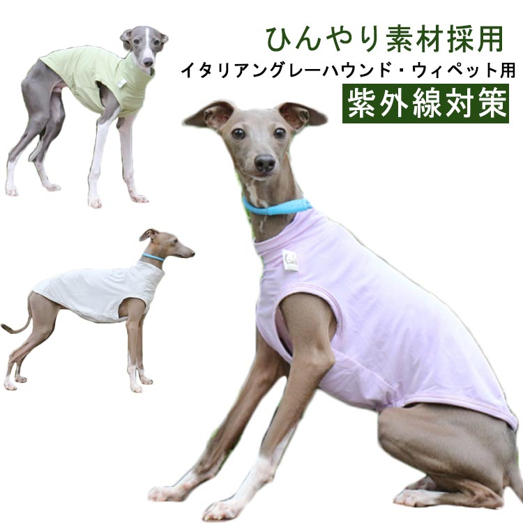【送料無料】犬 服 イタグレ服 タンクトップ ドッグウェア 犬の服 熱中症対策 春 夏 クール ひんやり ベスト ノースリーブ ハイネック ウィペット イタリアングレーハウンド 犬服 犬用品 ペットグッズ