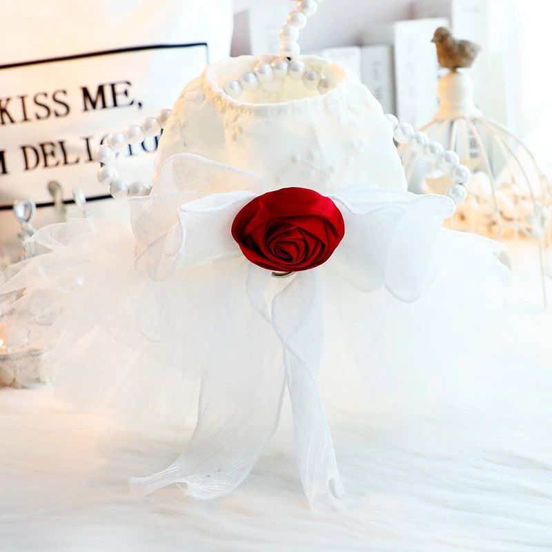 ������̵���۸� �� �ս� ǭ ���� �ɥ쥹 �Х�ɽ� �����ǥ��󥰥ɥ쥹 �꡼���դ� �Ƹ� ������ �淿�� �ڥå� Ķ���襤��