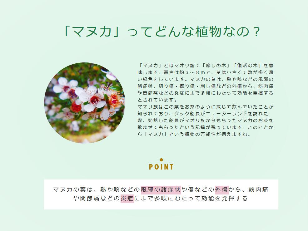 �ޥ̥��ϥˡ�UMF15(250g)2�ĥ��å� �磻�ƥޥ��ϥˡ���