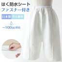 尿漏れパンツ 失禁パンツ 女性用 吸水300cc 【2枚組】 日本製 品番32030