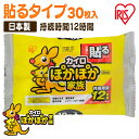 【ほぼ全品P5倍★土日限定】カイロ 貼るカイロ レギュラー 30枚 使い捨てカイロ まとめ買い 使い捨て 貼る 貼るタイプ レジャー お出かけ 屋外 防寒 寒さ...
