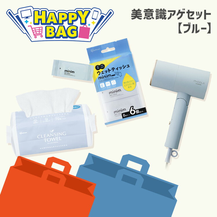 \ハッピーバッグ/ ドライヤー 大風量 速乾 ヘアドライヤー 軽い マイナスイオン 軽量 ウェットティッシュ ミニ ノンアルコール 持ち運び ポケット フェイシ...