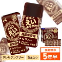 非常食 えいようかん 井村屋 チョコえいようかん 5本 井村屋 えいようかん 羊羹 災害 地震 台風 保存食 長期保存 井村屋