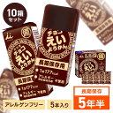 非常食 えいようかん 井村屋 チョコえいようかん 5本×10箱セット 井村屋 えいようかん 羊羹 災害 地震 台風 保存食 長期保存 井村屋