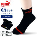 プーマ スポーツブランド ソックス PUMA6足セット 4293719送料無料 PUMA 21-23cm 靴下 ショート丈 クッションパイル 子供 ジュニア 足...