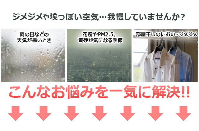 除湿機 コンプレッサー アイリスオーヤマ コンパクト 空気清浄機能付除湿機 DCE-120 コンプレッサー式 衣類乾燥除湿機 衣類乾燥機 空気清浄機 空気清浄器 空気清浄 除湿器 洗濯 洗濯物 衣類乾燥 部屋干し パワフル 静音 節電