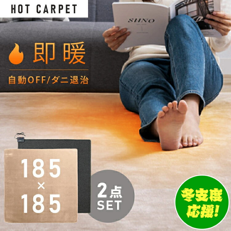 ホットカーペット 2畳 ラグ セット TEKNOS ラグ＋2畳用カーペット2点セット ベージュ TEKNOS 電気カーペット カバー付き 2畳用 カーペット ラグ ホットカーペット ベージュ カバー付き電気カーペット HCMF-IR200