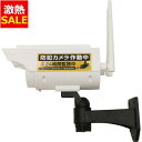 【1日ほぼ全品P5倍】【29%OFF】工具・DIY 防犯 金物ソーラー充電式防犯ダミーカメラライト1型 ホワイト HDL-9672 WH防犯カメラ ダミーカメラ...