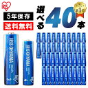 1000円ポッキリ 送料無料 乾電池 単3 40本 単三 電池 BIGCAPA basic 【選べる40本セット★】 単3形 20本パック×2 LR6Bb/20P 5年保証 アルカリ乾電池 電池 でんち 乾電池 かんでんち バッテリー アルカリ乾電池 アルカリ アイリスオーヤマ 送料無料 【メール便】