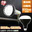 LEDŵ  2000lm LDR16D-H-E LEDŵ LED饤 饤  LED    E26 ȸ  ꥹ