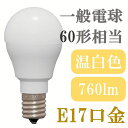 LED電球 60W形相当 温白色 E17 広配光 60形 LDA6WW-G--6T7 住宅向け照明 住宅 アウトレット 電球 ブラケット LED エコ 節電 照明 内装 施設 屋内照明 屋外照明 シーリング キッチン リビング 部屋 ペンダント アイリスオーヤマ