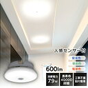 シーリングライト 小型 人感センサー 600lm 薄型 LED 省エネ アイリスオーヤマ 3年保証LEDライト ミニ 600lm 取り付け簡単 おしゃれ 廊下 玄関 キッチン クローゼット SCL6LMS-UU SCL6NMS-UU SCL6DMS-UU