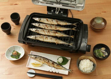 ≪送料無料≫マルチロースター EMT-1100 シルバー アイリスオーヤマ ロースター フィッシュロースター 焼肉 焼き魚 セラミックフィルター フッ素加工 焼き網 おしゃれ グリルロースター ワイド