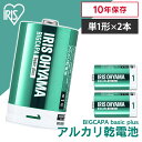 【1日ほぼ全品P5倍】BIGCAPA basic+ 単1形アルカリ乾電池2本パック LR20Bbp/2S 乾電池 アルカリ乾電池 単1 単1形 単一 単一形 電...