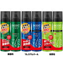 【最大400円OFFクーポン】育毛剤 INCENT 男性用 インセント 薬用育毛トニック 190g×2本 スプレー 無香 クール 微香 発毛 液だれしない 育毛...
