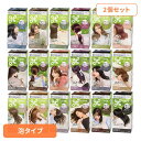 【最大400円OFFクーポン】【2個】ヘアカラー 髪染め 白髪染め リーゼ 泡カラー ヘアカラー 髪染め 白髪染め 黒髪染め ブリーチ 泡 セルフカラー 黒 ナチュラルブラック Liese リーゼプリティア 花王 髪色もどし ブラック ブラウン