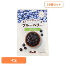 【20個】まいにち食べたい ブルーベリー カルチベート ブルーベリー 正栄食品 Shoei ドライフルーツ お菓子作り そのまま まいにち食べたい 焙煎 個包装