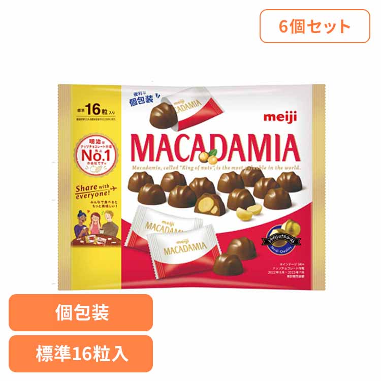 【6個】マカダミアチョコレート ビッグパック 16粒入 meiji お菓子 チョコ マカダミア ビッグ 大容量 個包装 トラディショナル 手軽 おやつ シェア 明治