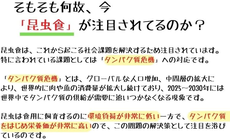 丸彦　二色の揚げ餅　24個×12