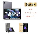 【3点セット】 【2024年最新版】 AvidPad A90 Android 14 タブレット 12インチ G99 8コアCPU RAM24GB ROM256GB 2K IPS画面 WIFI SIMフリーデュアル アンドロイドタブレット 顔認識 GPS GMS TELEC認証済OTG対応ジャイロ 日本語仕様書535g