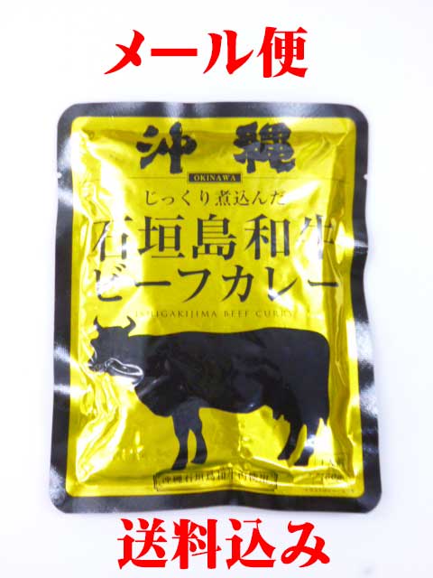 沖縄 石垣島和牛ビーフカレー 1人前　160g