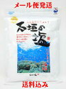 メール便発送 送料込み 送料無料沖縄石垣島の塩石垣の塩 500g