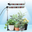 JCBRITW 50W 植物育成ライト スタンド付き LED 白いフルスペクトルLED植物ライト 室内栽培 苗木栽培 顕花植物栽培向け水耕栽培ランプ 植物栽培工場 温室/園芸に適用