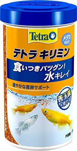 ƥȥ (TETRA) ߥ  175  ա 翩 ̶ 奭쥤