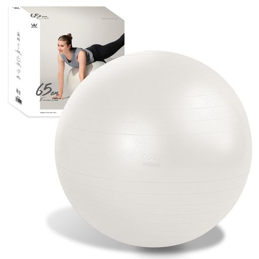 アルインコ(ALINCO) バランスボール 直径65CM 椅子 スツール 軽量 空気入れ付き 運動マニュアル付き ストレッチ フィットネス ヨガ エクササイズ バランス運動 家庭用 WBF065W ホワイト