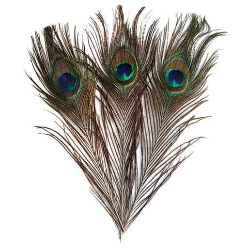 【ノーブランド品】羽根 目玉羽 装飾用の羽根 孔雀の羽 23-33CM 10本