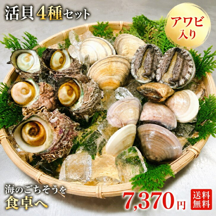 活貝 セット アワビ 入り 4種 詰め合わせ サザエ 5個 大アサリ 3個 はまぐり 6-7個...