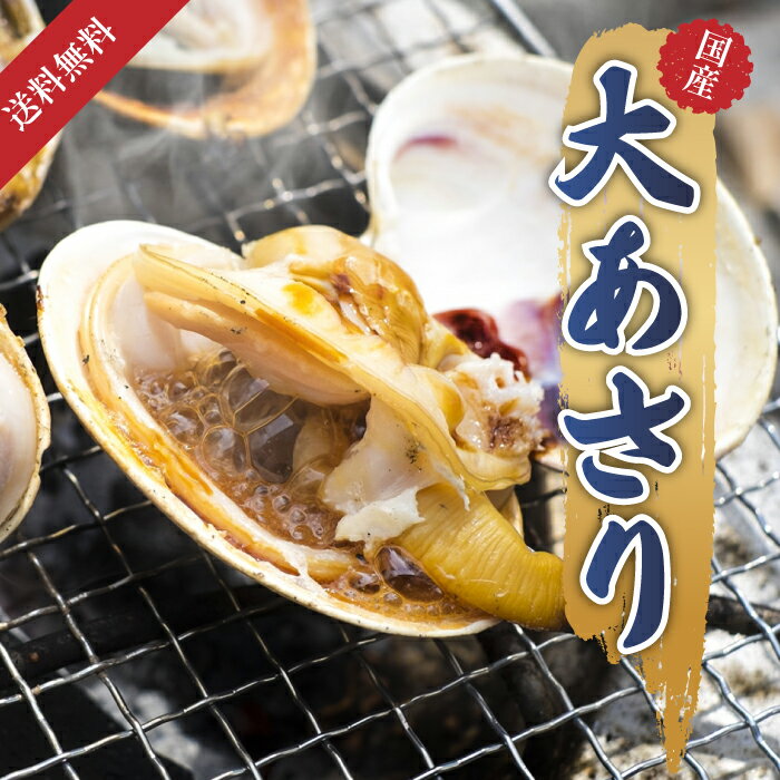 【大アサリ】送料無料 国産あさり あさり 大あさり ギフト 取り寄せ 国産 旬 三重県 愛知県 有名 あさり 500g(8切から10切) 取り寄せ 半割れ 本物 値段 安い 冷蔵 真空パック 貝 大あさり お吸い物 酒蒸し 味噌汁 焼き貝 BBQ バーベキュー 定番 海の幸 海鮮 販売 海鮮