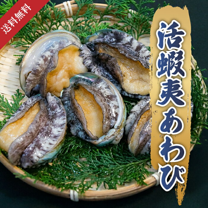 【高級活〆】蝦夷あわび 活アワビ あわび アワビ 鮑 60g 80g 100g 140g 安い 美味しい 新鮮 お祝い 正月 おせち お歳暮 お中元 お取り寄せグルメ 高級食材 プレゼント ギフト 贈答用 バーベキュー BBQ 刺身 鮑ステーキ 炭火焼き 酒蒸し 寿司 バター焼き 踊り食い 濃厚旨味