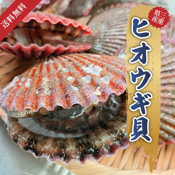 【高級活〆】国産 三重県 名産地 緋扇貝 ヒオウギ貝 10枚 殻長7cm-8cm 旬 美味しい カラフルな貝殻 新..