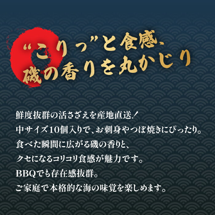 �� ���� ����ľ�� ���Ÿ��� ŷ�� ���� �������� ������ ŷ�������� �褵������ 10�� 1kg 1��90g��110g �襵���� ������ ���� �ˤ� �����������ե� £��ʪ ������ ������ ������ �¿� ���Ĥޤ� ���ܼ� �ɿ� �ĤܾƤ� ���� ������ ��ι� �� ���� ���� ���� ������ BBQ