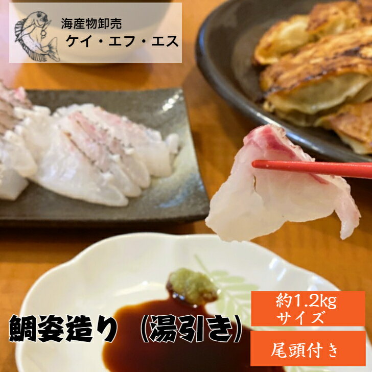 活〆 真鯛 姿造り 750g 湯引き 送料無料 尾頭付き 皮付き 皮湯引き 養殖真鯛 脂 鯛 刺身 刺身用 食品 水産 短柵 切るだけ タイ たい 魚 三重県 三重の味 お取り寄せ 人気 マダイ 鯛しゃぶ たいしゃぶ 真空パック かぶと煮 あら アラ炊き ギフト お祝い 家族 記念日