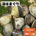 活はまぐり はまぐり 9個から12個 500g 国産 ハマグリ 蛤 貝 海鮮 魚介類 新鮮 鮮度 貝類 BBQ お吸い物 酒蒸し 焼き おいしい お取り寄せ 自宅用 家庭用 仲間 集まり 日本酒 白ワイン 焼酎 ハイボール 香ばしさ お土産 プレゼント ギフト お酒のお供 お酒のおつまみ