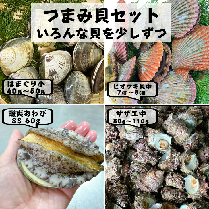 ڤĤޤ߳ Ϥޤ ҥ ܰФ  å    4 å Ĥޤ߿  ٤ Ĥޤ ...