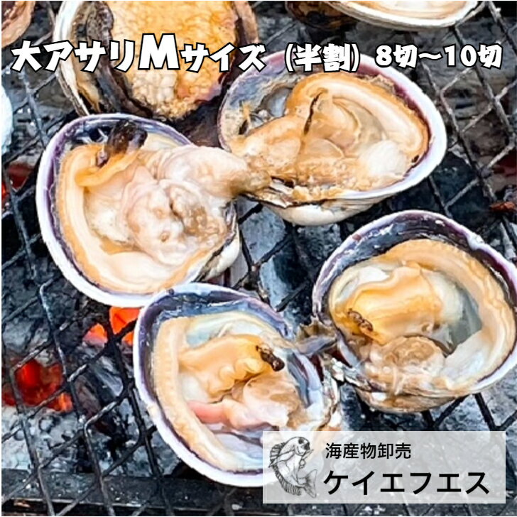 【大アサリ】送料無料 国産あさり あさり 大あさり ギフト 取り寄せ 国産 旬 三重県 愛知県 有名 あさ..