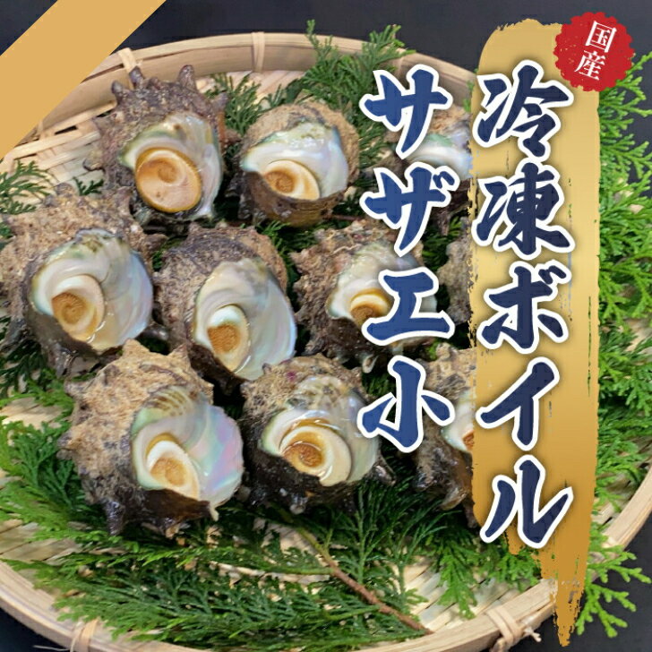 ボイルサザエ 小サイズ 20個 1.2kg 1個60g～70g 母の日 父の日 ギフト 贈答用 祝い 国産 三重県 京都府 天然 貝類 つぼ焼き グリル焼き..