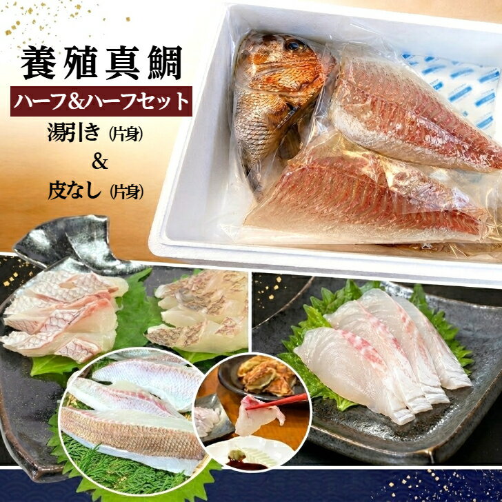 Thai - 【送料無料】活〆真鯛 姿造り 豪華ハーフ＆ハーフ 約750g（皮湯引き＆皮なし柵）アラの有無が選べる 真鯛 国産 三重県産 養殖 脂鯛 刺身 鯛しゃぶ 鯛茶漬け お祝い ギフト 御祝 記念日 三枚おろし 真鯛 鯛のアラ 鯛カブト 父の日 お祝い 誕生日 ギフト おめでたい