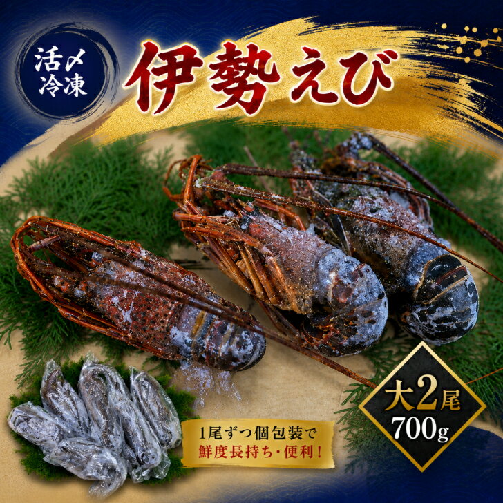 【活〆冷凍 伊勢海老】 父の日 国産 丸ごと 伊勢海老 冷凍伊勢海老 伊勢海老殻付き 通販 安い 大サイズ 祝い 取り寄せ 贈答用 ギフト 三重 日本 国産 三重県 2尾 700g 鮮度 冷凍保存 伊勢海老 グラタン えび 名産地 ホイル 海老 伊勢 イセエビ 伊勢エビ いせえび 送料無料