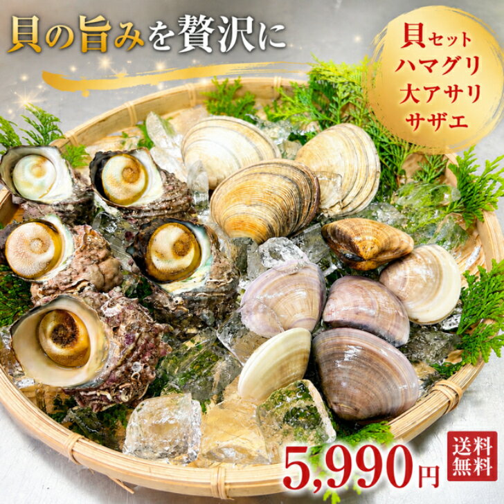 貝 セット ハマグリ 大アサリ サザエ 詰め合わせ 魚介類 海鮮 BBQ 夏 海 アウトドア 屋外 バーベキュー キャンプ ギフト お中元 御中元..