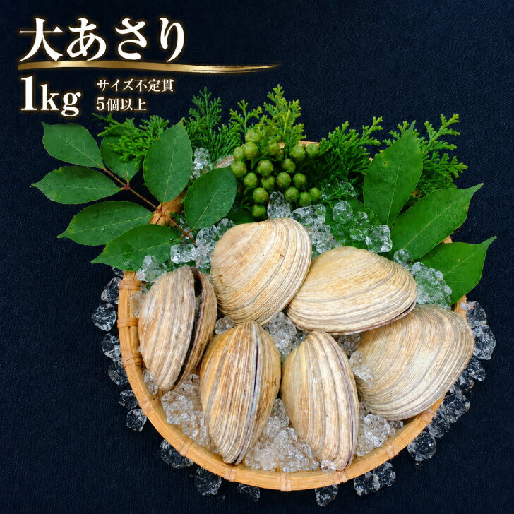 大アサリ 1kg5個以上 サイズ不定貫 大あさり 海鮮 貝 BBQ バーベキュー 浜焼き 網焼き 海鮮焼き バター醤油 酒蒸し 香ばしい 肉厚 ビールに合う お酒のおつまみ 晩酌 夏グルメ 夏休み お取り寄せ 海の幸 家飲み キャンプ アウトドア ギフト