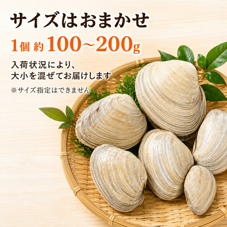 海産物卸売 ケイエフエスの大アサリ 1kg5個以上 サイズ不定貫 大あさり 海鮮 貝 BBQ バーベキュー 浜焼き 網焼き 海鮮焼き バター醤油 酒蒸し 香ばしい 肉厚 ビールに合う お酒のおつまみ 晩酌 夏グルメ 夏休み お取り寄せ 海の幸 家飲み キャンプ アウトドア ギフト｜アングル2