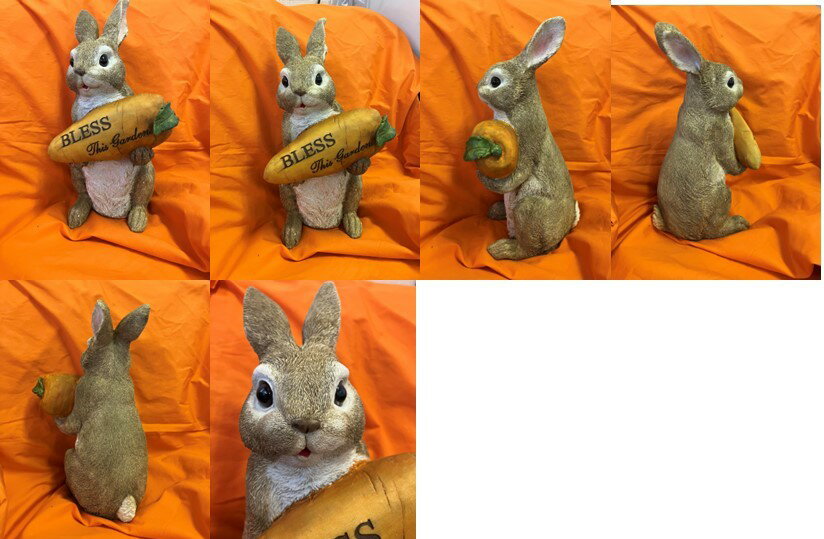 うさぎと大きなニンジン