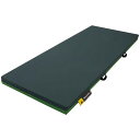スーパーSALE限定10%OFFクーポン ケープ マットレス メリー&ハリー 830 CR-680