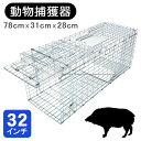 捕獲器 捕獲機 捕獲器猫 32インチ モグラ 保護 害獣駆除 アニマルキャッチャー 罠 わな バネ式 アニマルトラップ トラップケージ ハクビシン 小動物 犬 ...