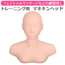 マネキンヘッド シリコン デコルテ バスト 胸 マッサージ練習用 ツボ付き ツボ押し エステ練習用 フェイス フェイシャル 頭 頭部 頭付き 顔 首 上半身 肌...