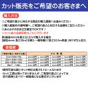 u-nty:10000605のサンプル画像3